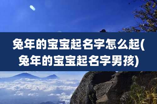 兔年的宝宝起名字怎么起(兔年的宝宝起名字男孩)