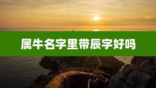 属牛名字里带辰字好吗