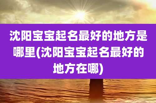 沈阳宝宝起名最好的地方是哪里(沈阳宝宝起名最好的地方在哪)