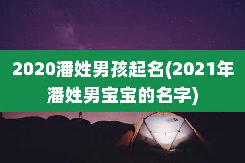 2020潘姓男孩起名(2021年潘姓男宝宝的名字)