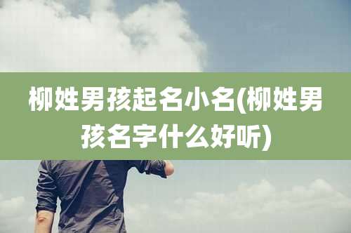 柳姓男孩起名小名(柳姓男孩名字什么好听)