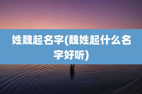 姓魏起名字(魏姓起什么名字好听)