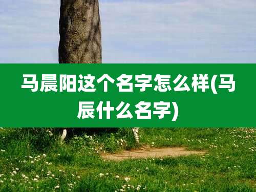 马晨阳这个名字怎么样(马辰什么名字)