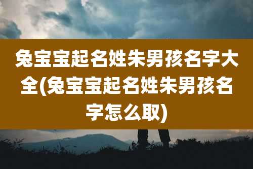 兔宝宝起名姓朱男孩名字大全(兔宝宝起名姓朱男孩名字怎么取)