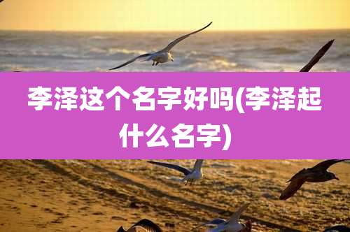 李泽这个名字好吗(李泽起什么名字)