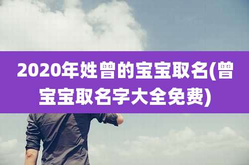 2020年姓曾的宝宝取名(曾宝宝取名字大全免费)