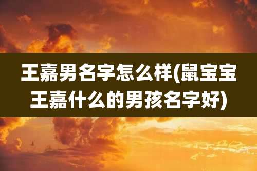 王嘉男名字怎么样(鼠宝宝王嘉什么的男孩名字好)