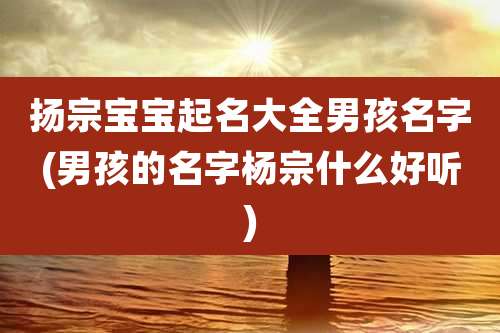 扬宗宝宝起名大全男孩名字(男孩的名字杨宗什么好听)
