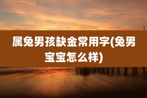 属兔男孩缺金常用字(兔男宝宝怎么样)
