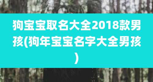 狗宝宝取名大全2018款男孩(狗年宝宝名字大全男孩)