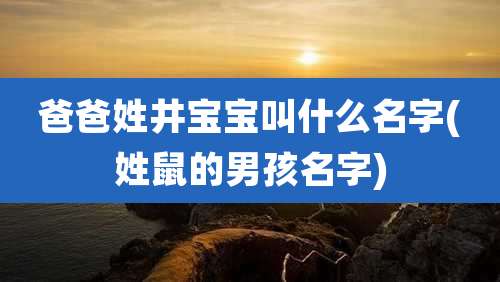 爸爸姓井宝宝叫什么名字(姓鼠的男孩名字)
