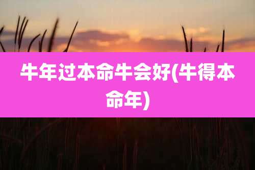 牛年过本命牛会好(牛得本命年)