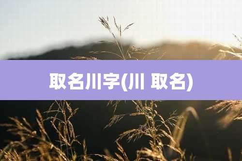 取名川字(川 取名)