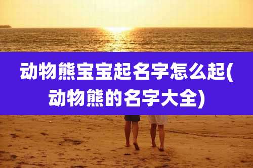 动物熊宝宝起名字怎么起(动物熊的名字大全)