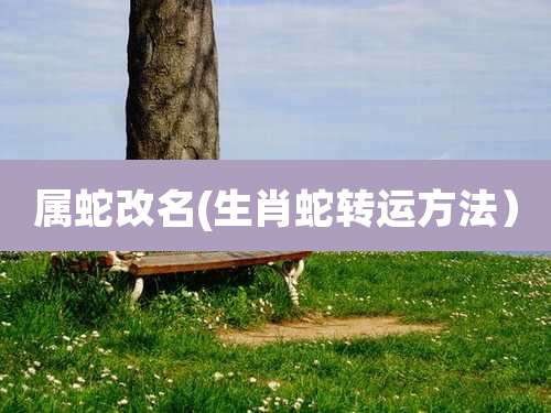 属蛇改名(生肖蛇转运方法）