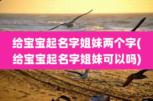 给宝宝起名字姐妹两个字(给宝宝起名字姐妹可以吗)