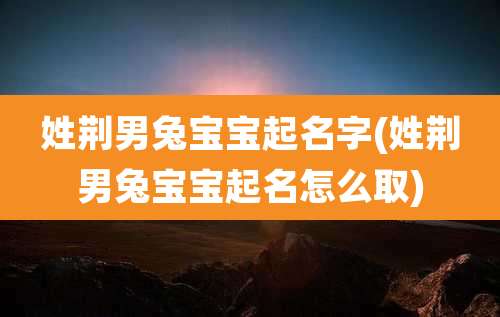 姓荆男兔宝宝起名字(姓荆男兔宝宝起名怎么取)