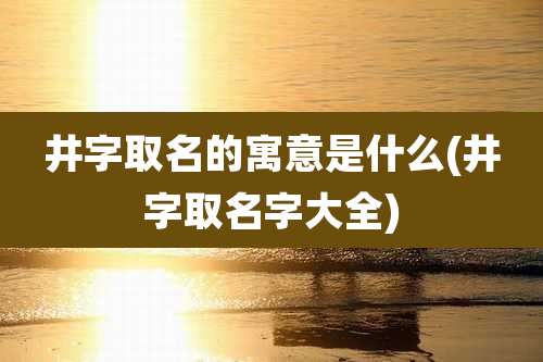 井字取名的寓意是什么(井字取名字大全)