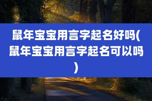 鼠年宝宝用言字起名好吗(鼠年宝宝用言字起名可以吗)