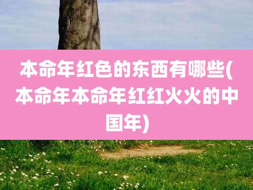 本命年红色的东西有哪些(本命年本命年红红火火的中国年)