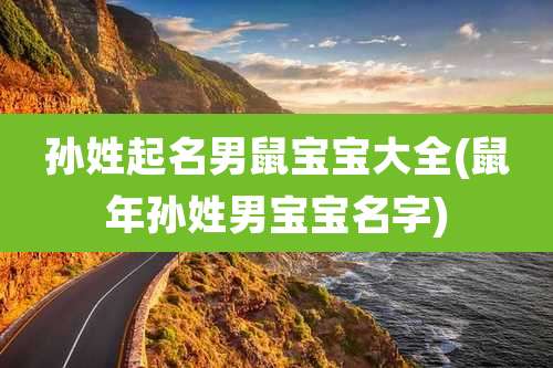 孙姓起名男鼠宝宝大全(鼠年孙姓男宝宝名字)