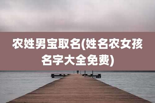 农姓男宝取名(姓名农女孩名字大全免费)
