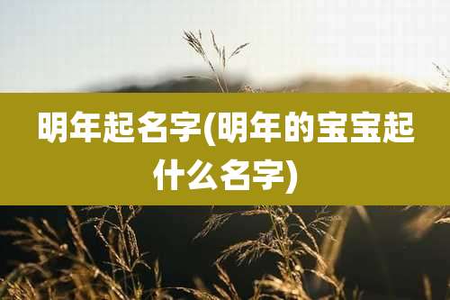 明年起名字(明年的宝宝起什么名字)