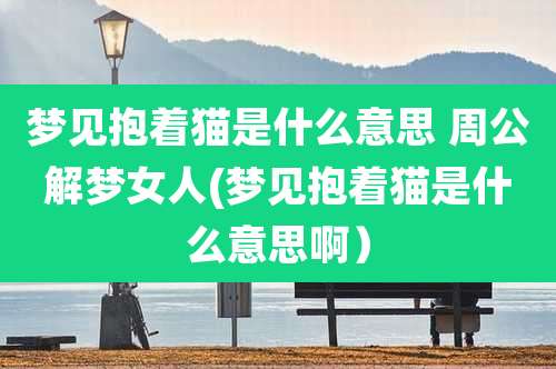 梦见抱着猫是什么意思 周公解梦女人(梦见抱着猫是什么意思啊)