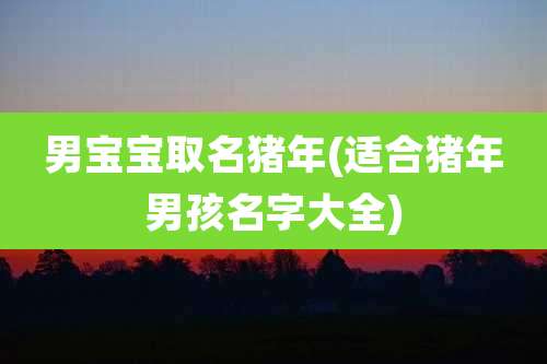 男宝宝取名猪年(适合猪年男孩名字大全)