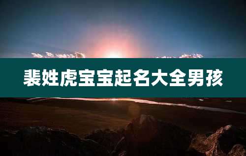 裴姓虎宝宝起名大全男孩