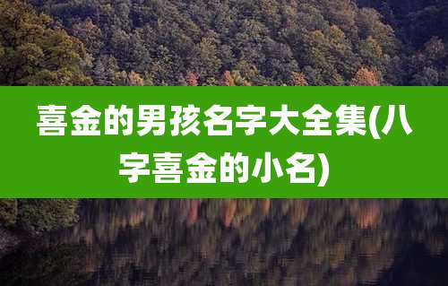 喜金的男孩名字大全集(八字喜金的小名)