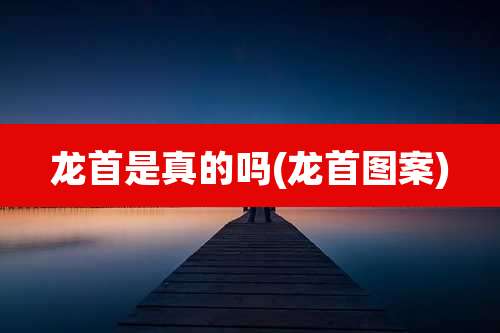 龙首是真的吗(龙首图案)