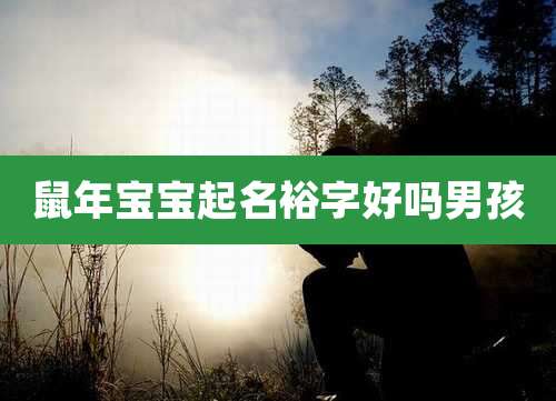 鼠年宝宝起名裕字好吗男孩