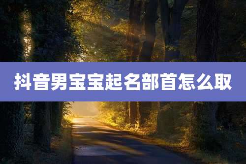 抖音男宝宝起名部首怎么取