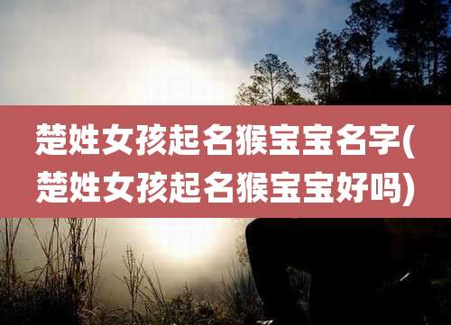 楚姓女孩起名猴宝宝名字(楚姓女孩起名猴宝宝好吗)