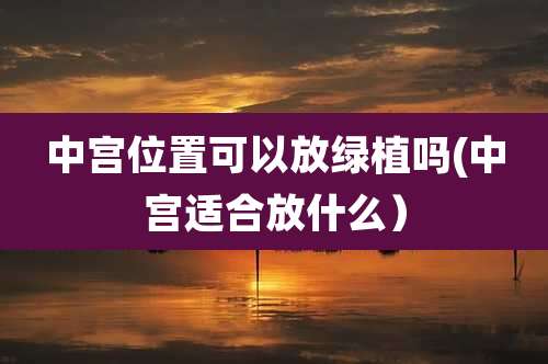 中宫位置可以放绿植吗(中宫适合放什么)