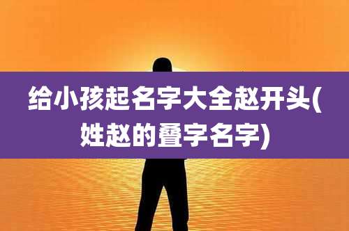 给小孩起名字大全赵开头(姓赵的叠字名字)