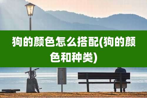 狗的颜色怎么搭配(狗的颜色和种类)