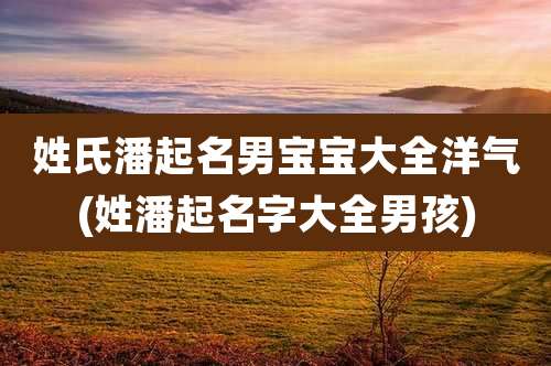 姓氏潘起名男宝宝大全洋气(姓潘起名字大全男孩)