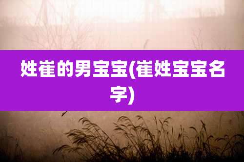姓崔的男宝宝(崔姓宝宝名字)