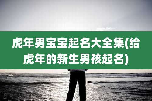 虎年男宝宝起名大全集(给虎年的新生男孩起名)