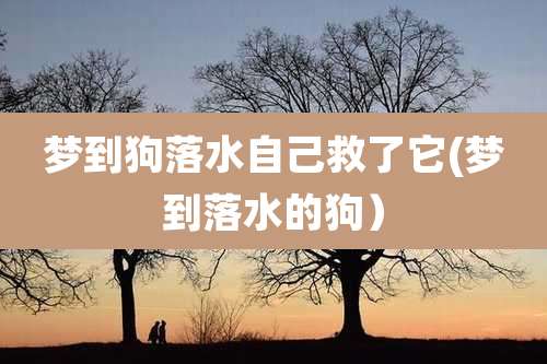 梦到狗落水自己救了它(梦到落水的狗）