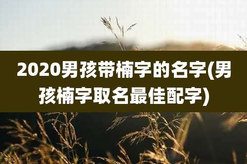 2020男孩带楠字的名字(男孩楠字取名最佳配字)