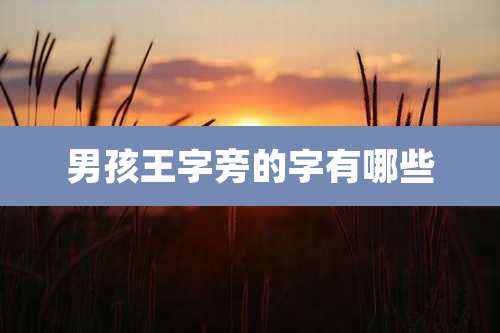 男孩王字旁的字有哪些