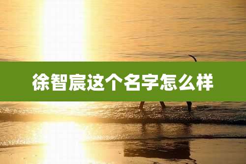 徐智宸这个名字怎么样