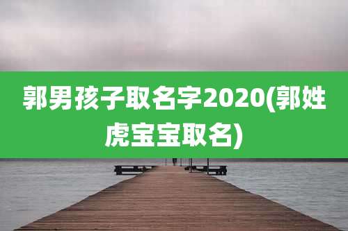 郭男孩子取名字2020(郭姓虎宝宝取名)