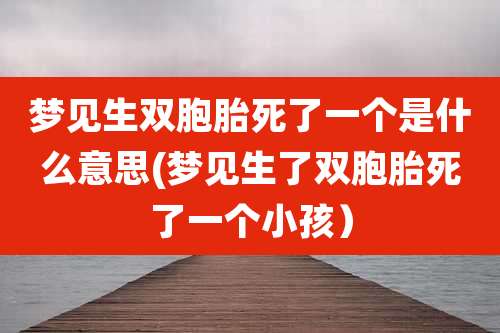 梦见生双胞胎死了一个是什么意思(梦见生了双胞胎死了一个小孩）