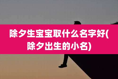 除夕生宝宝取什么名字好(除夕出生的小名)