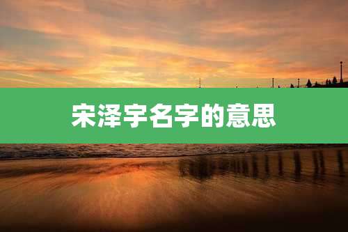 宋泽宇名字的意思