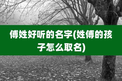 傅姓好听的名字(姓傅的孩子怎么取名)